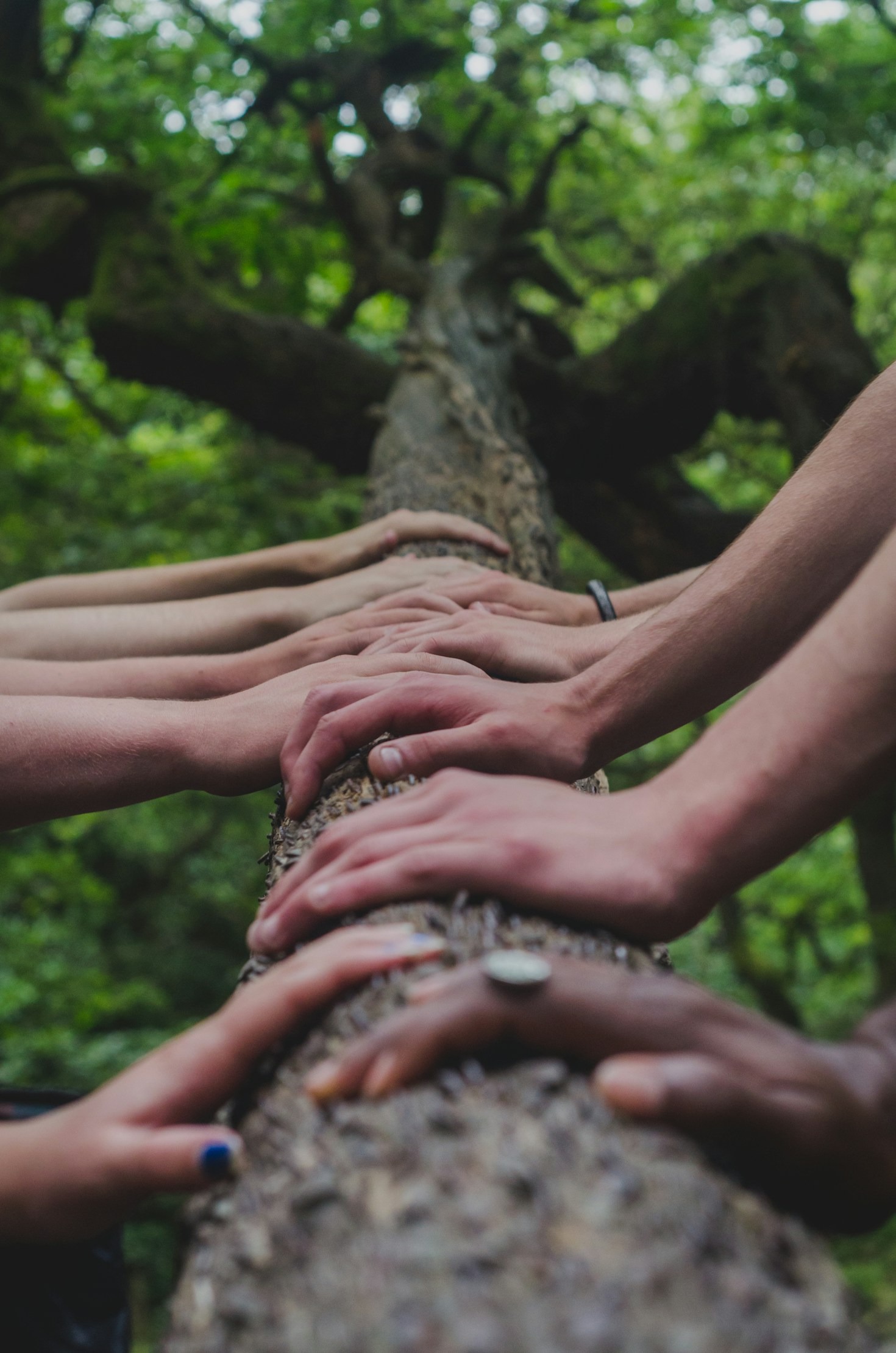 Creating a Community of Lifelong Learners